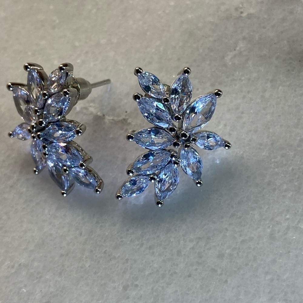 Dazzling sparkle Earrings
